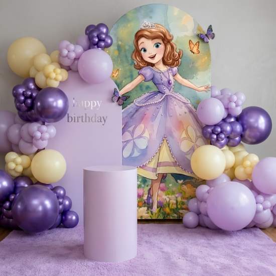 Sofia the First 1 Sofia the First theme decoration